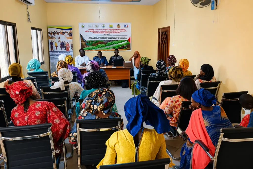 Session de formation organisée par l’ONG FEE à Fatick